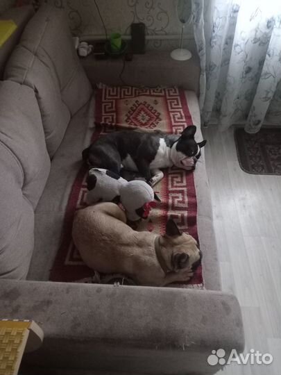 Вязка