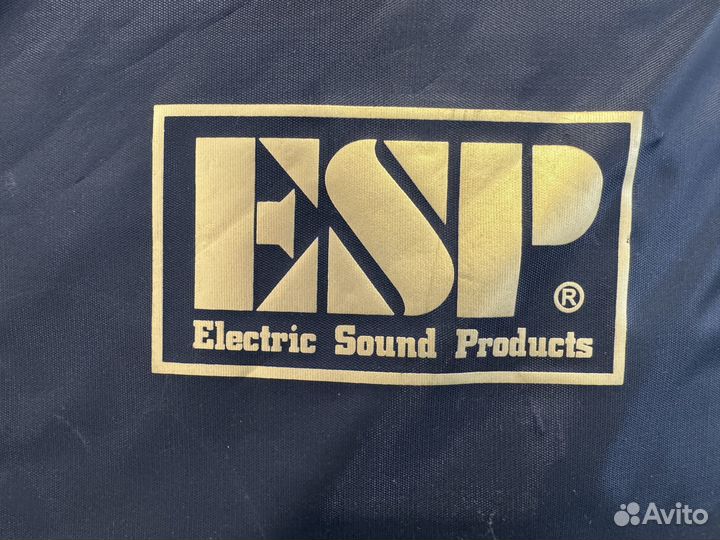 Гитарный чехол ESP EF-100KV