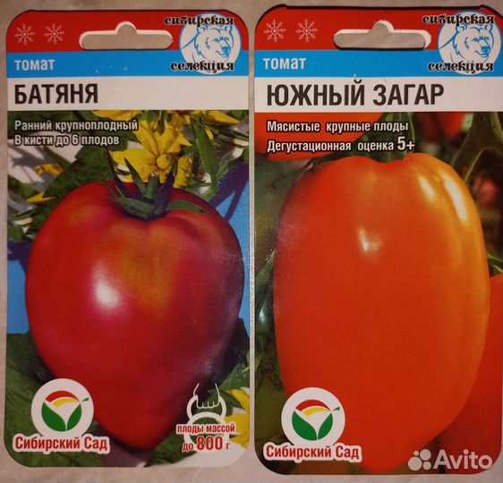Рассада помидоры/перец/баклажан/кукуруза/петуния