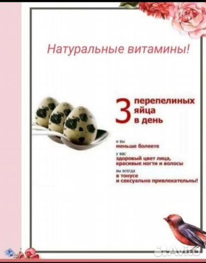 Яйца и мяско перепелов