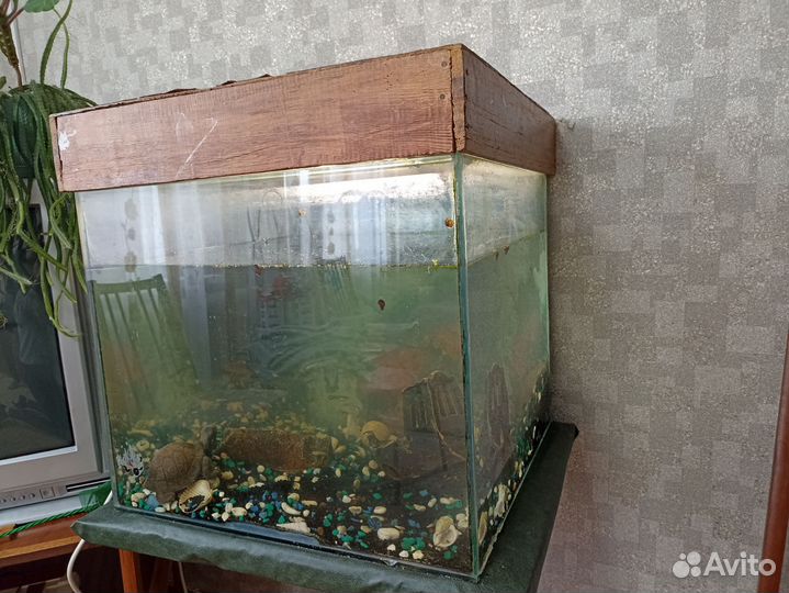 Аквариум с рыбками