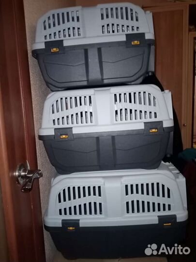 Переноски новые пластСкудо 1: 2:3 Продажа Аренда