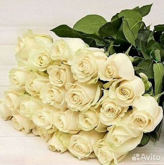 Высокие Розы Гиганты Доставка Круглосуточно