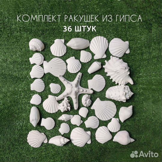Декор из гипса Ракушки (36 шт)