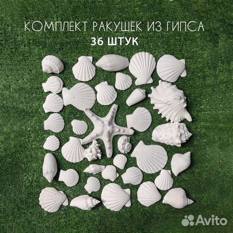 Декор из гипса Ракушки (36 шт)
