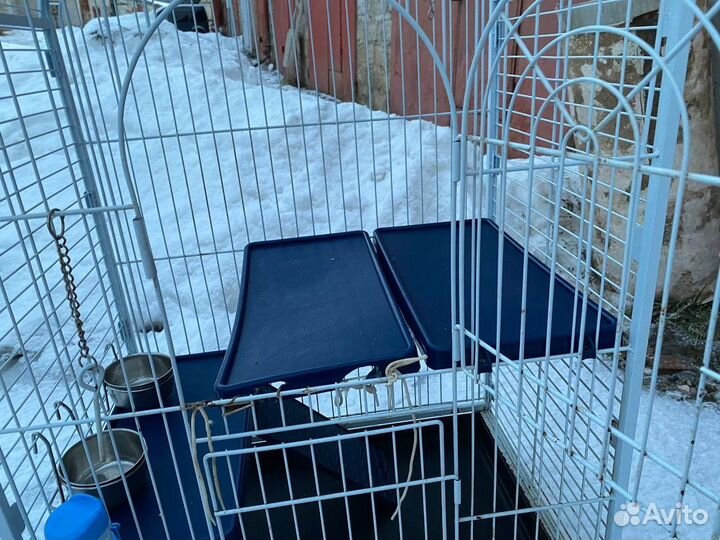 Клетка для хорька бу