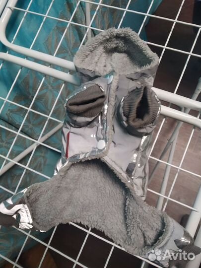 Комбинезон для маленькой собаки