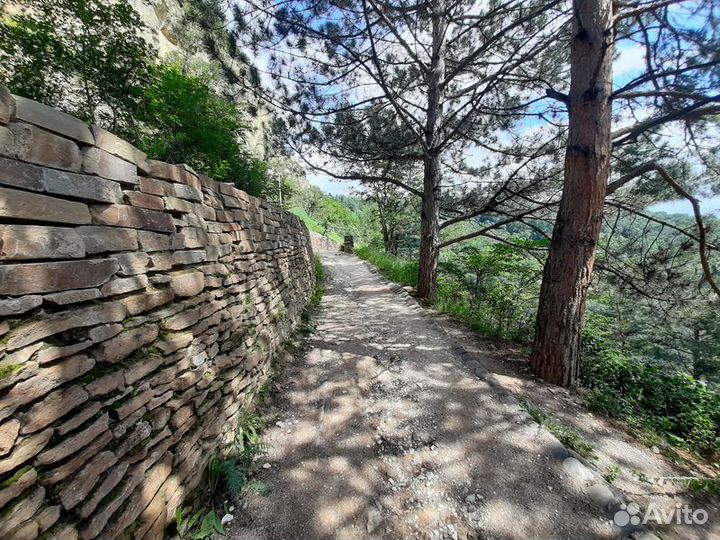 Экскурсия — Кисловодск — Нетуристической тропой вК