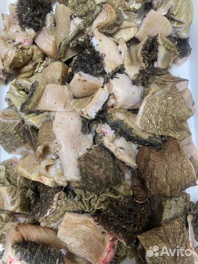 Корпусная, головная обрезь рубец говядина корм