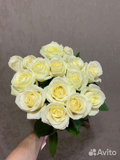 Букеты от 15 роз. Свежие розы от теплицы