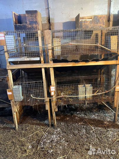 Клетка для кроликов с маточником