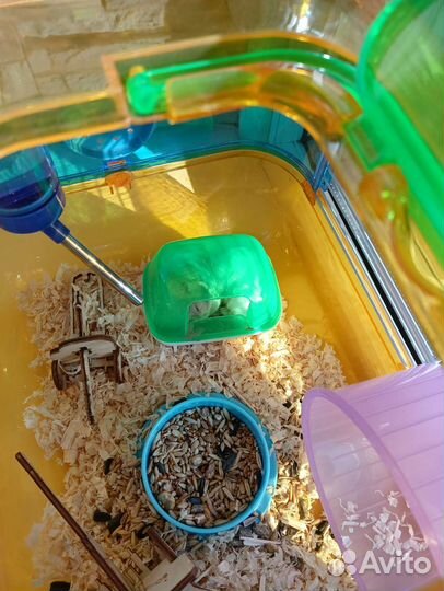 Клетка для грызунов с джунгариками