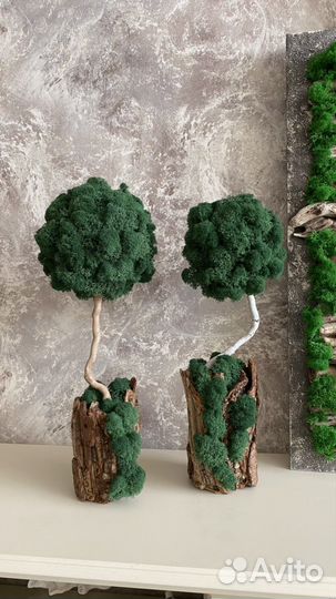 Деревце из мха