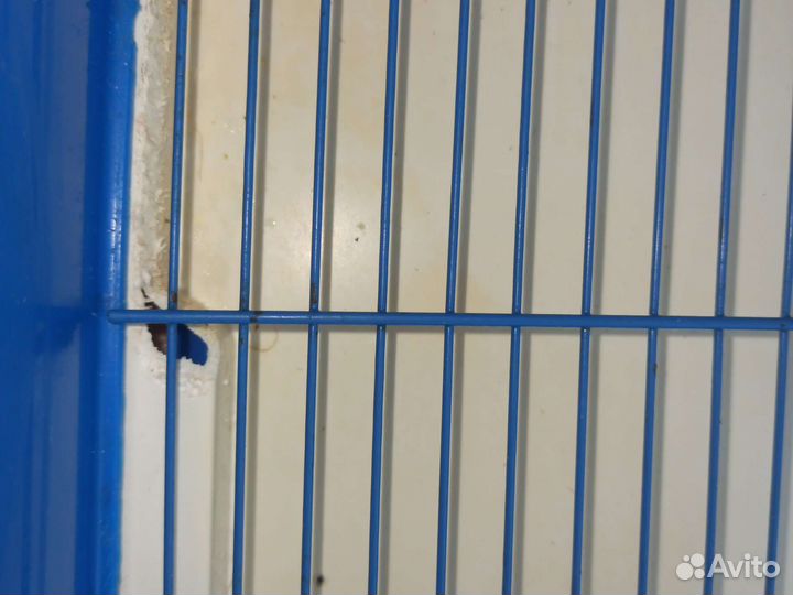 Клетка для грызунов бу