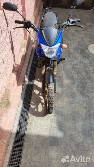Alpha RS12 110cc