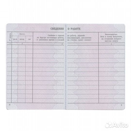 Бланк документа «Вкладыш в трудовую книжку», 88125