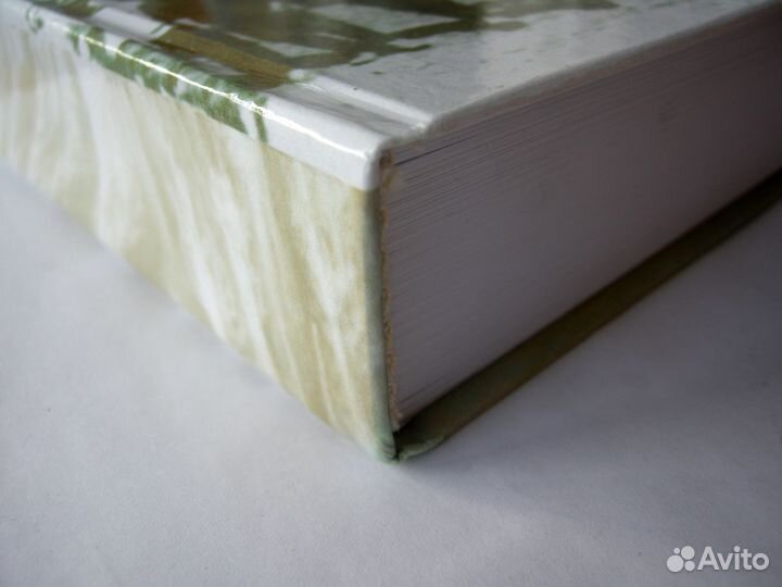 Омское Прииртышье в политических сводках 1920-1930