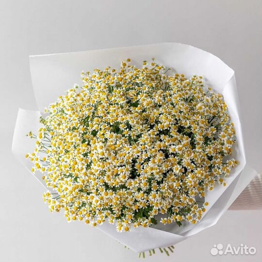 Ромашки для подарка