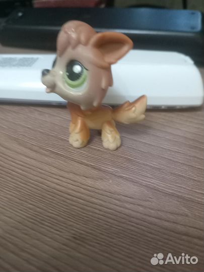 Пет шоп рыжий волк