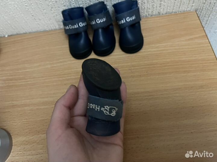 Обувь для собак