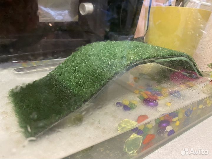 Мостик (Берег) для черепах