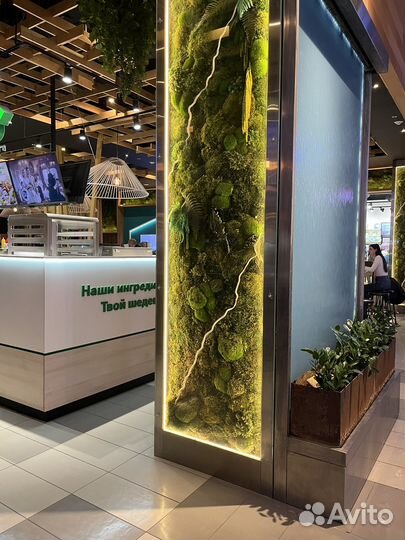 Картина из стабилизированного мха