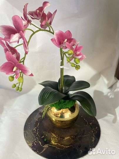 Орхидея в горшке