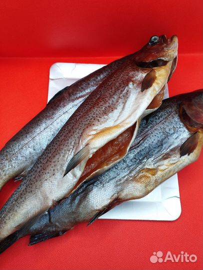 Рыба Форель холодного копчения