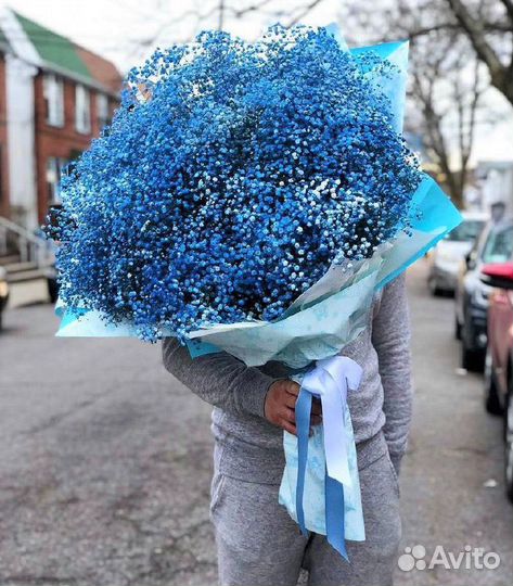 WOW-Букеты из Разных Цветов Гипсофилы