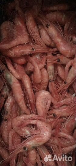 Парной Чилим (Большой Выбор Морепродук