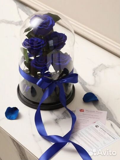 Розы синие букет 5шт в колбе+открытка