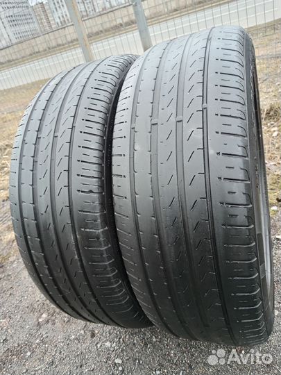 Pirelli Scorpion Verde 225/55 R19 99V