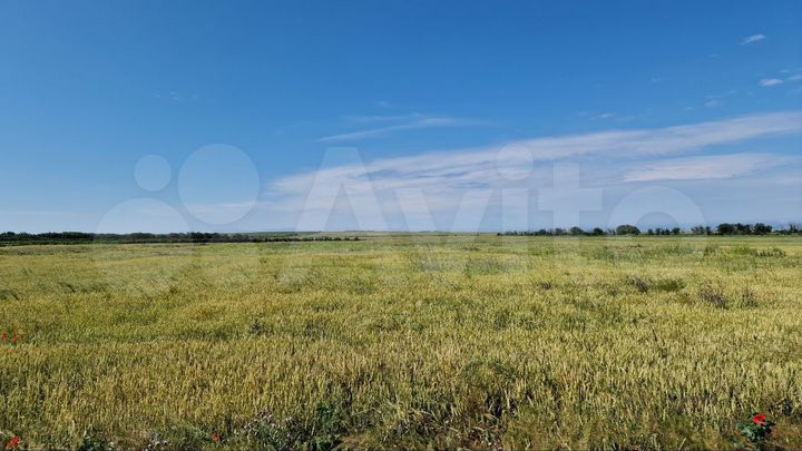 Участок 1,87 га (СНТ, ДНП)