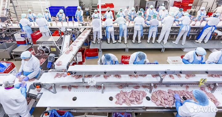 Разнорабочий вахта