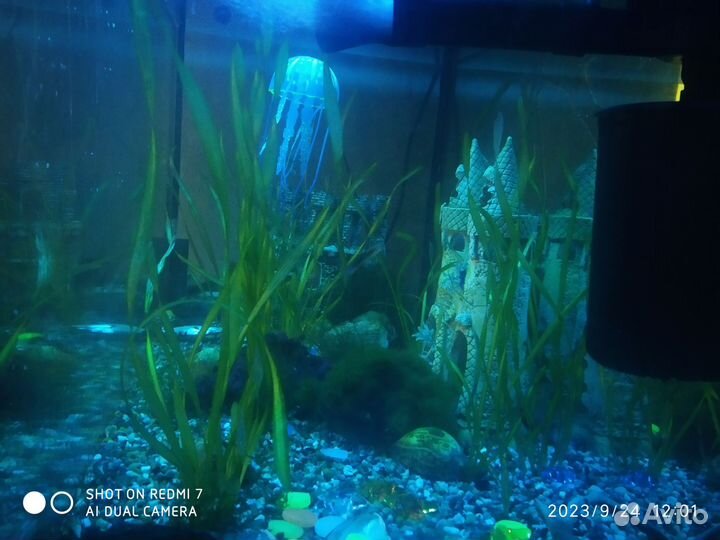 Аквариум 200 л