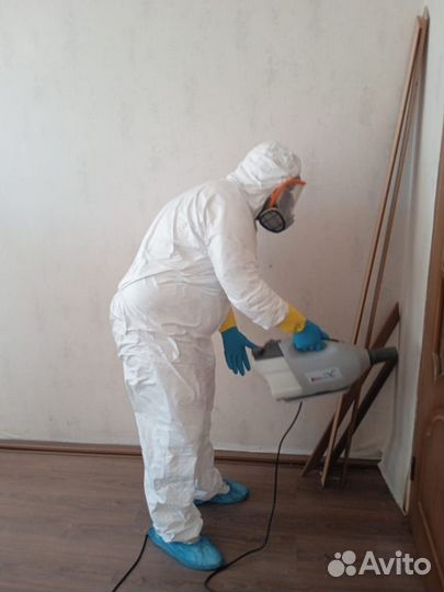Дезинфекция, уничтожение тараканов, клопов, крыс