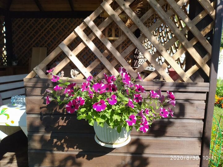 Дача 68 м² на участке 9 сот.