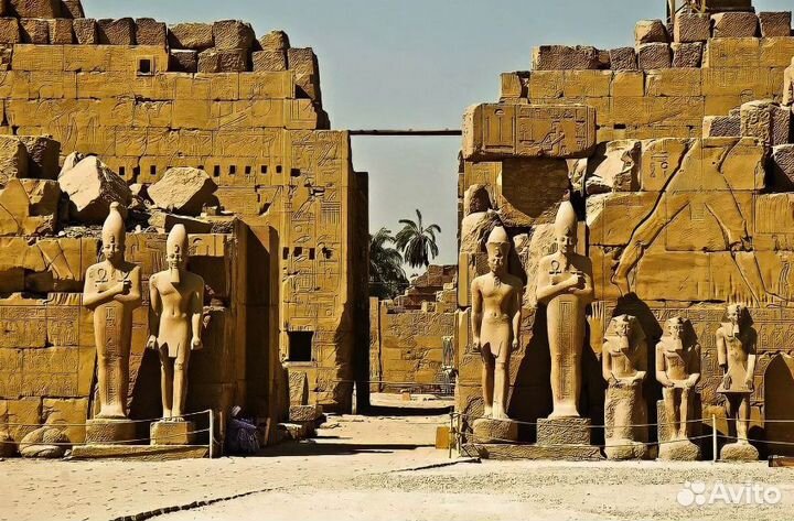 Go в Египет 6 нч