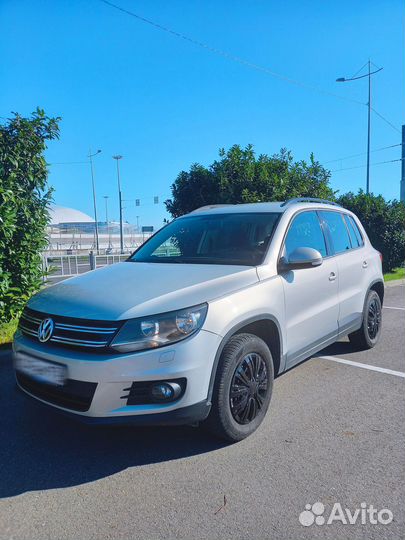 Экскурсия на озеро Рица (Абхазия)