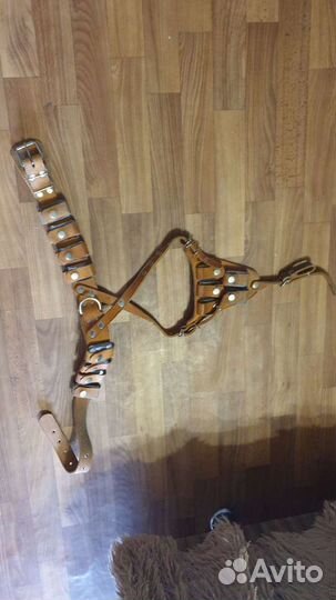 Шлейка для собак