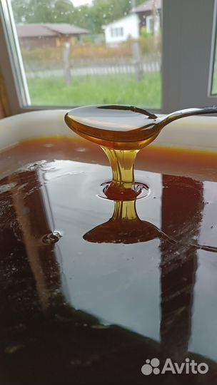 Дягилевый мед