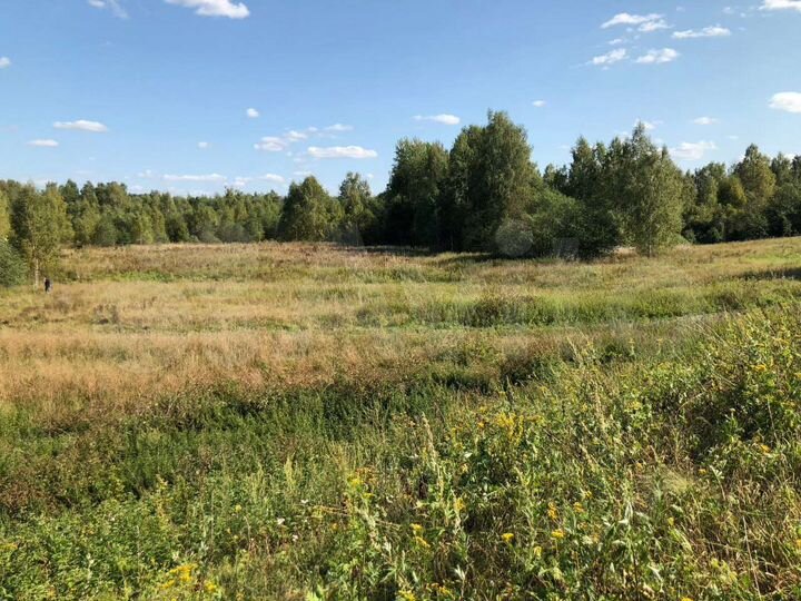 Участок 3,9 га (СНТ, ДНП)