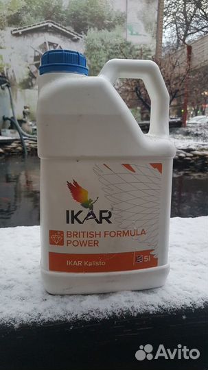 Икар Калисто