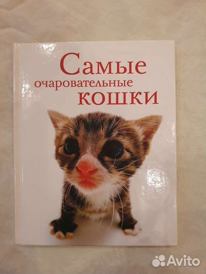 Книга фотоальбом Самые очаровательные кошки