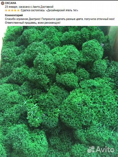 Стабилизированный мох для интерьерных работ