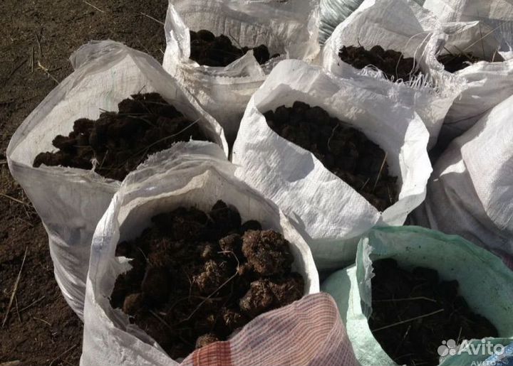 Конский перегной