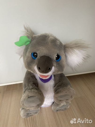 Furial friends Коала