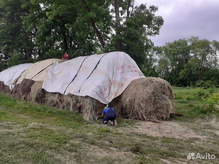 Сено в рулонах