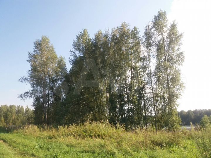 Участок 7 сот. (ИЖС)