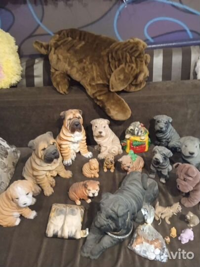 Коллекция шарпеев